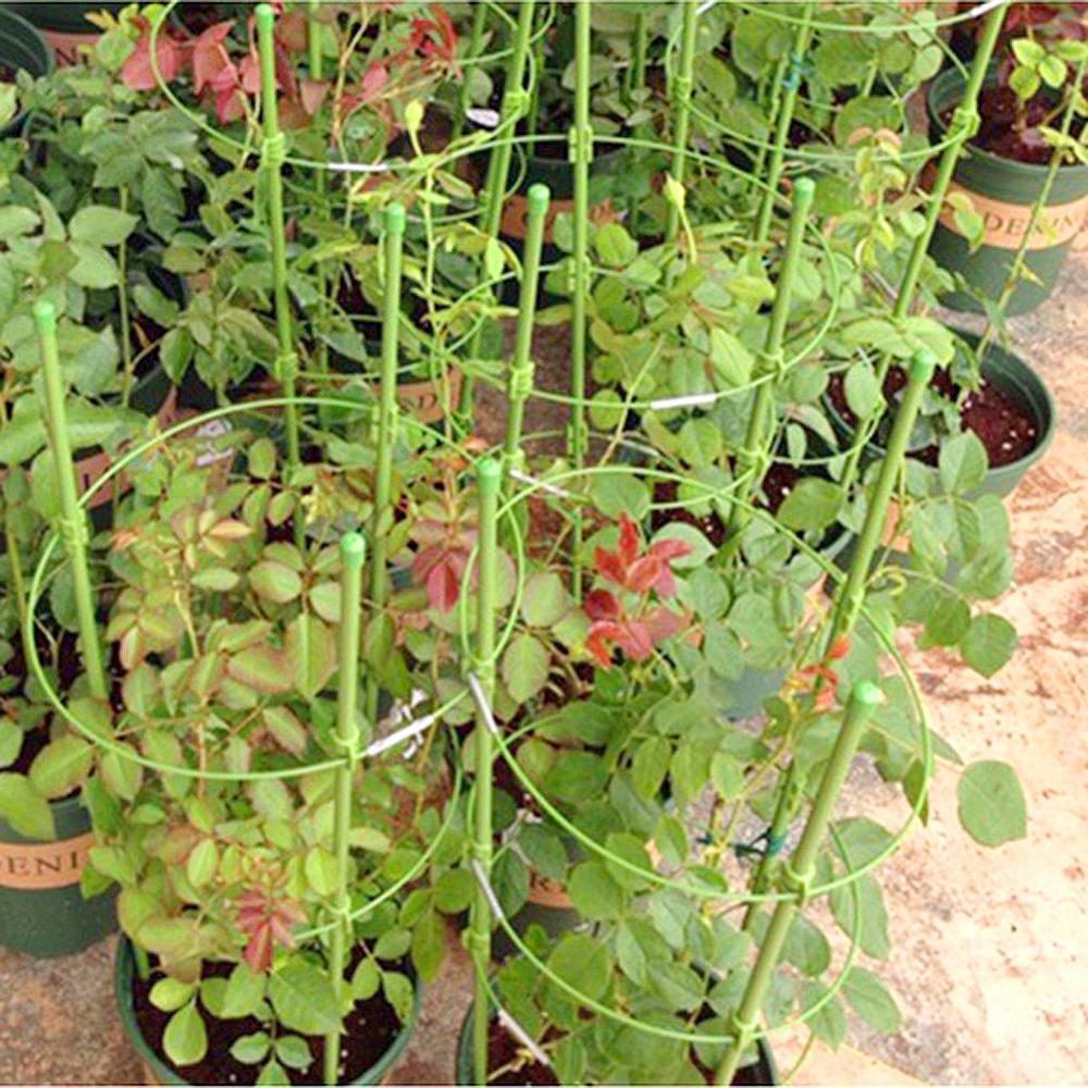 PlantSupport™ - Cadre de support pour plante | Jardinage
